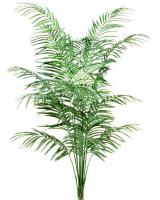 Areca Palm 5.5' tall in non-decorative weighted base