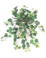7345s_Grape_Ivy_(mini).jpg